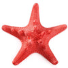 Artificial Sea Star Fish Tank Ornament